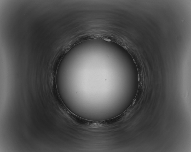X0000085020562200703050940