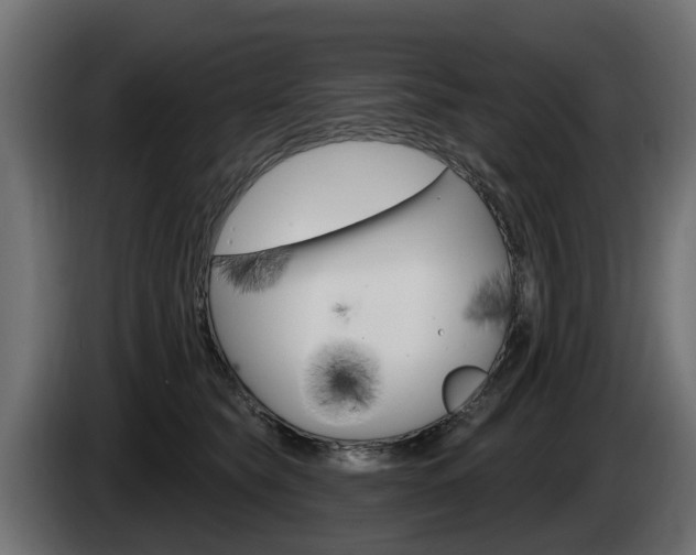 X0000085020565200703050940