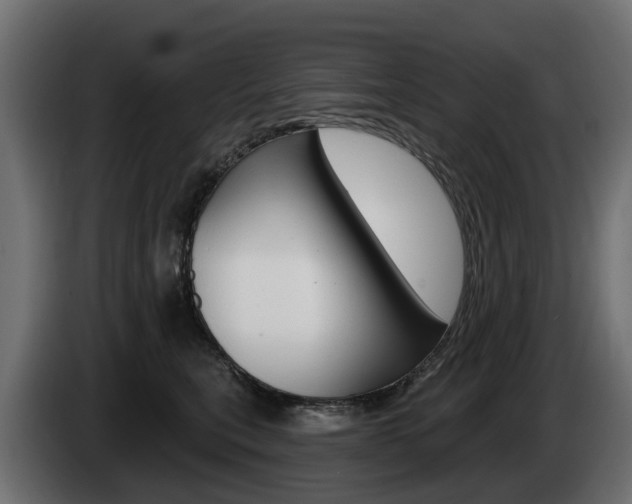 X0000085020567200703050940