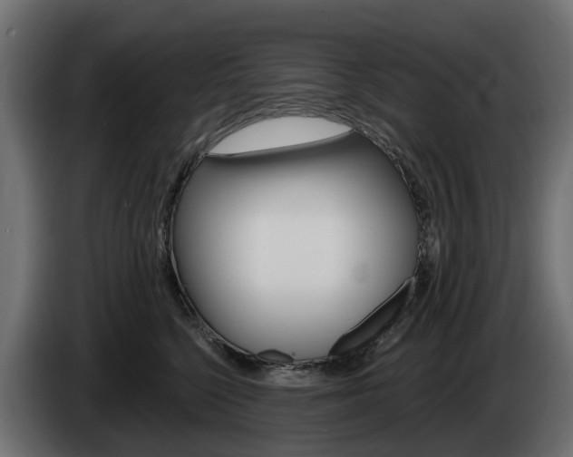 X0000085020568200703050940