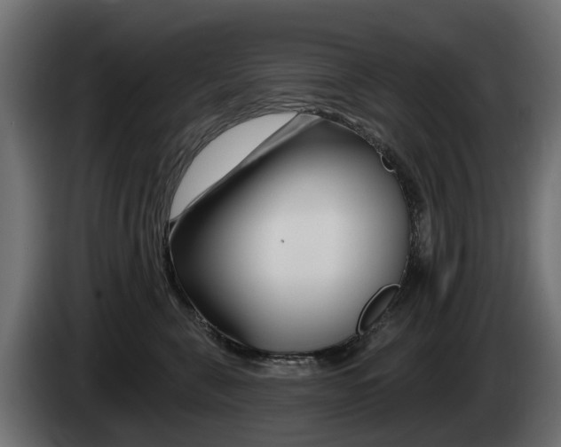 X0000085020571200703050940