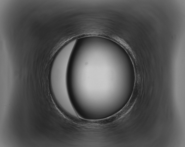 X0000085020577200703050939