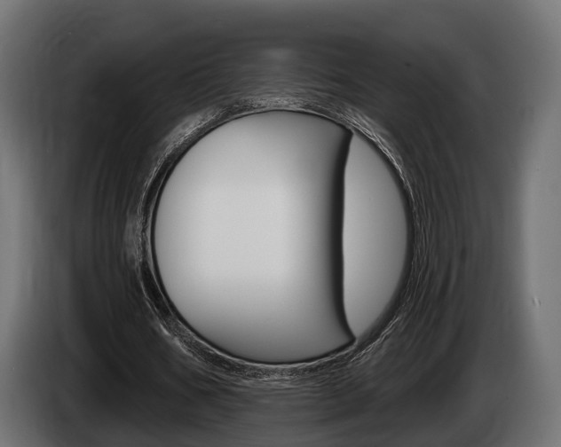 X0000085020578200703050939