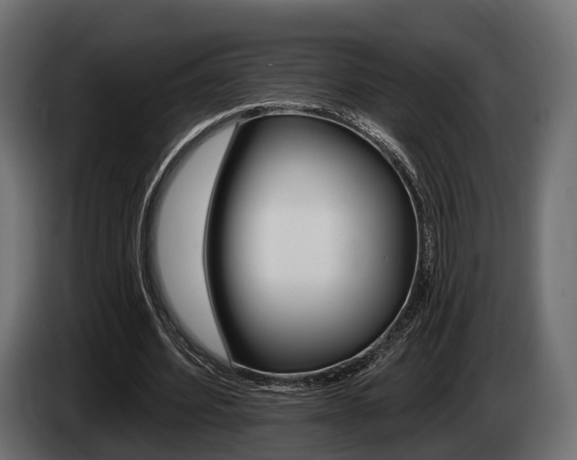 X0000085020580200703050939