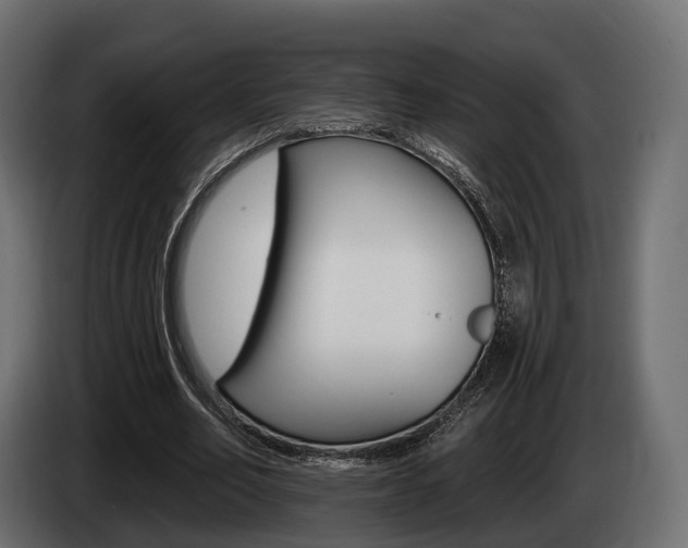 X0000085020582200703050939
