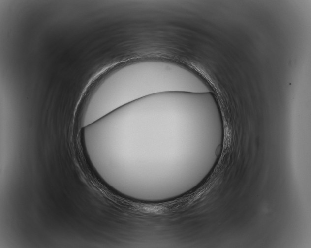X0000085020583200703050939