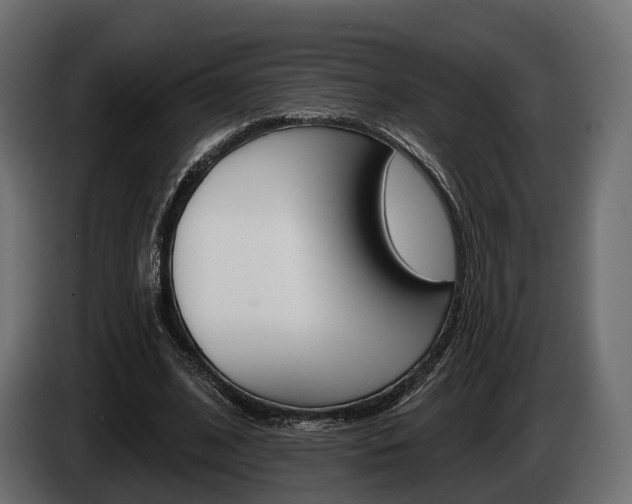X0000085020584200703050939