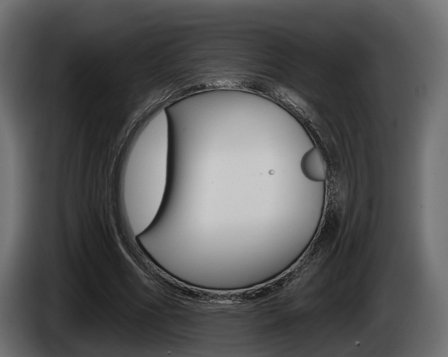 X0000085020586200703050939