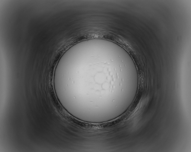 X0000085020594200703050939