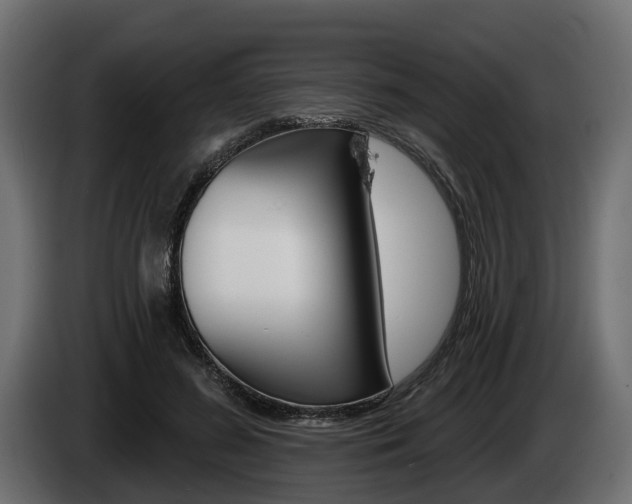 X0000085020596200703050939