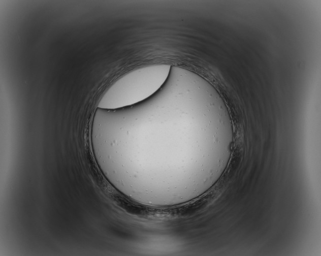 X0000085020598200703050939