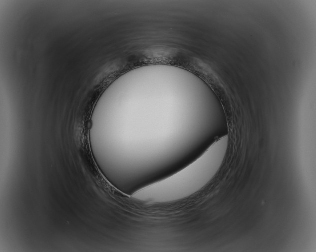X0000085020599200703050939
