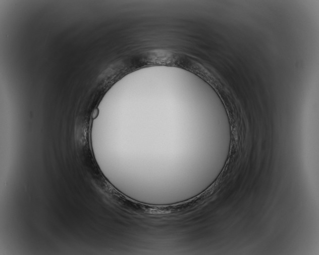 X0000085020602200703050939
