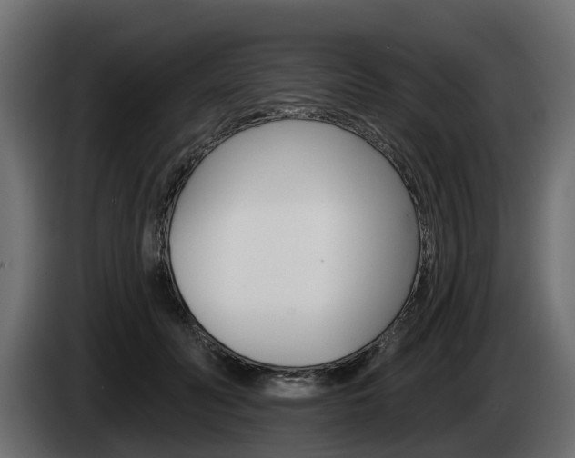 X0000085020606200703050939