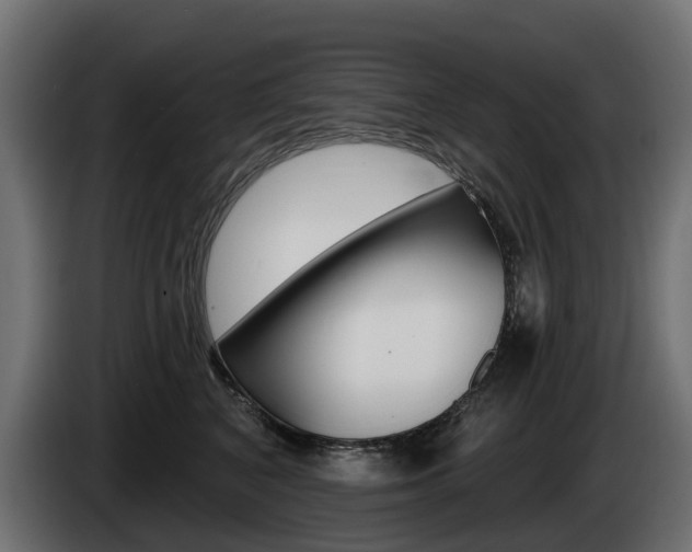 X0000085020616200703050939