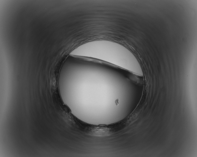 X0000085020617200703050939