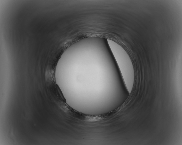 X0000085020621200703050939