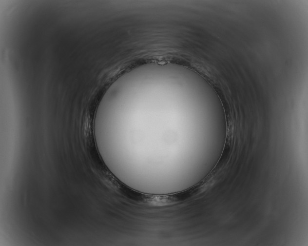 X0000085020623200703050939