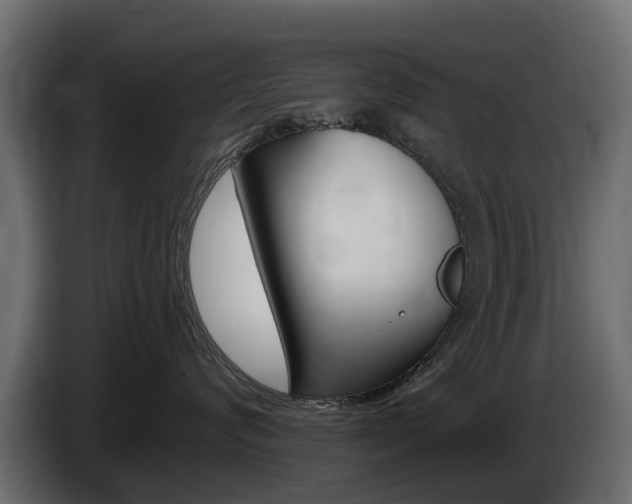 X0000085020624200703050939