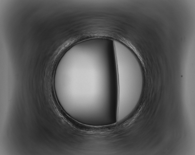 X0000085020625200703050938