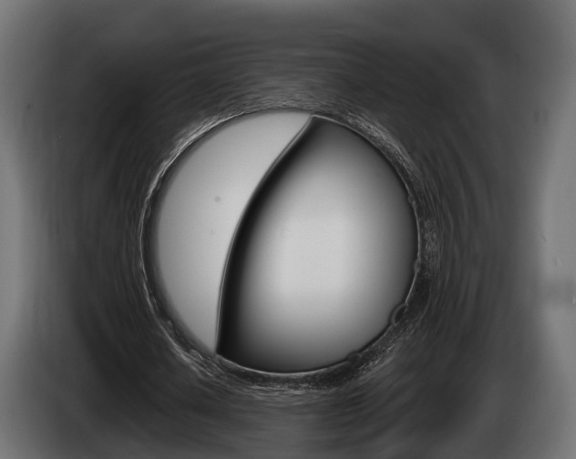 X0000085020626200703050938