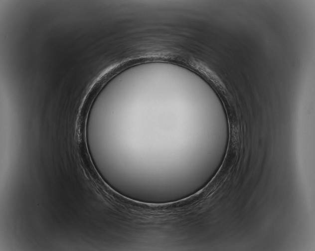 X0000085020628200703050938
