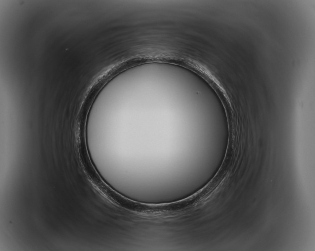 X0000085020629200703050938