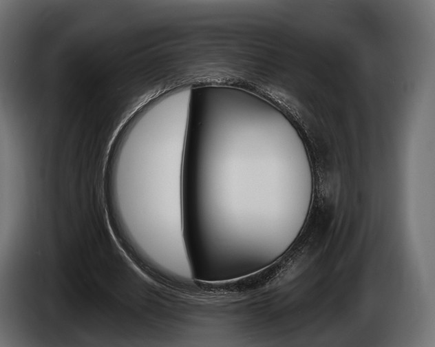 X0000085020630200703050938