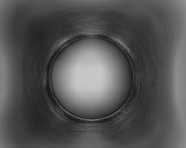 X0000085020631200703050938
