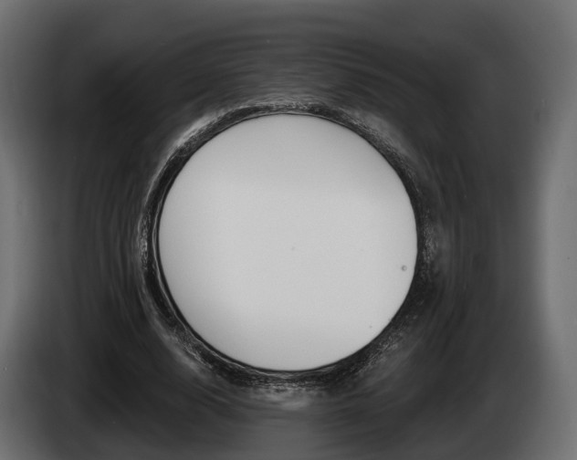 X0000085020632200703050938