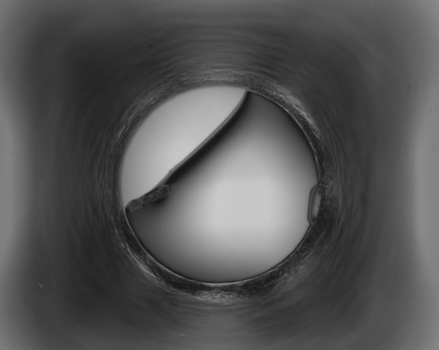 X0000085020633200703050938