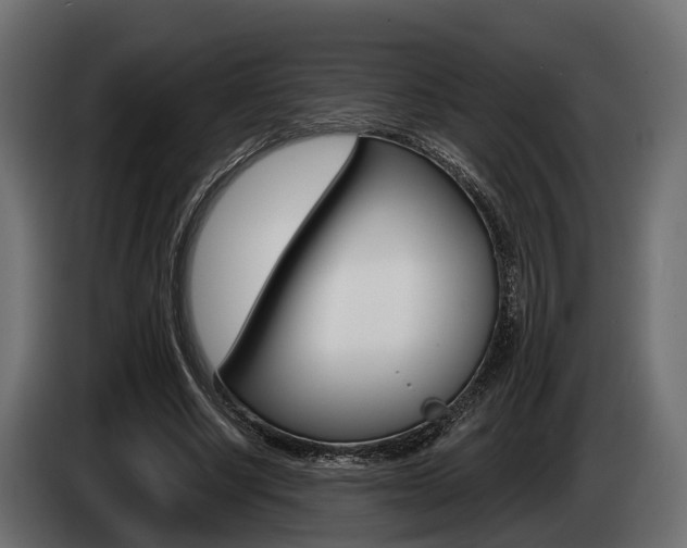 X0000085020634200703050938