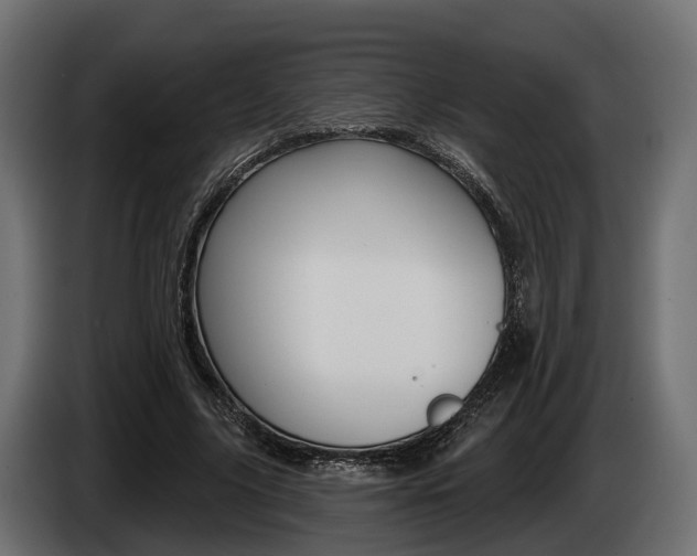 X0000085020635200703050938