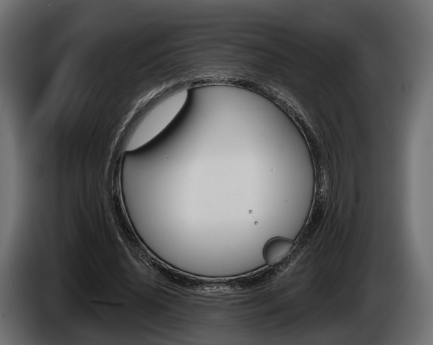 X0000085020636200703050938