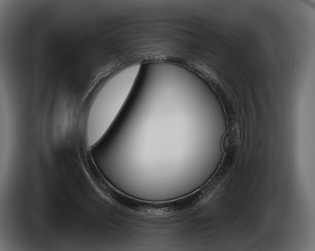 X0000085020638200703050938