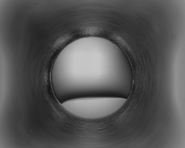 X0000085020640200703050938