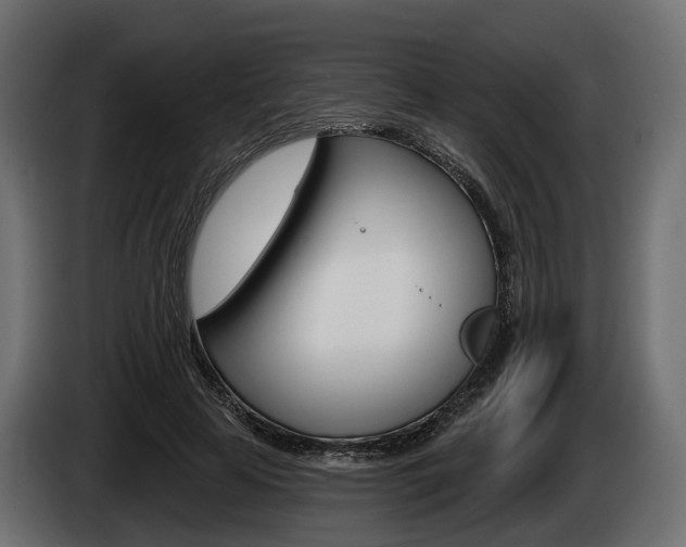 X0000085020641200703050938