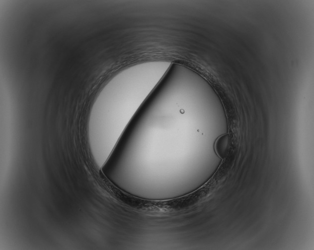 X0000085020642200703050938