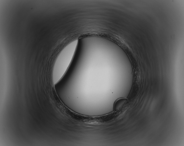 X0000085020643200703050938