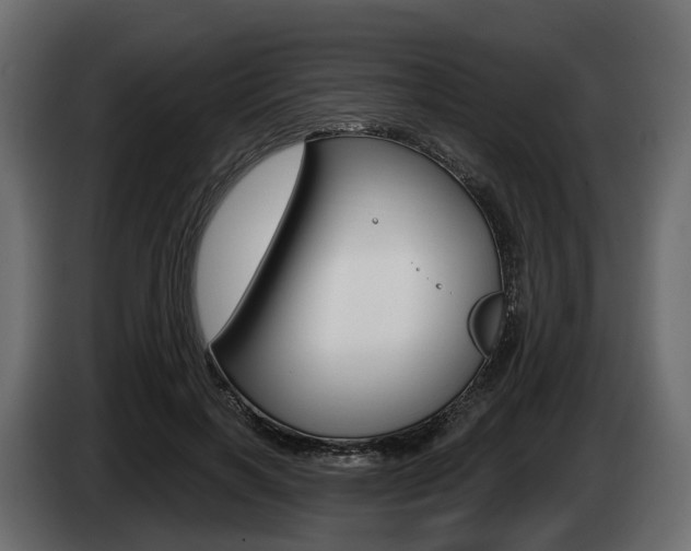 X0000085020646200703050938