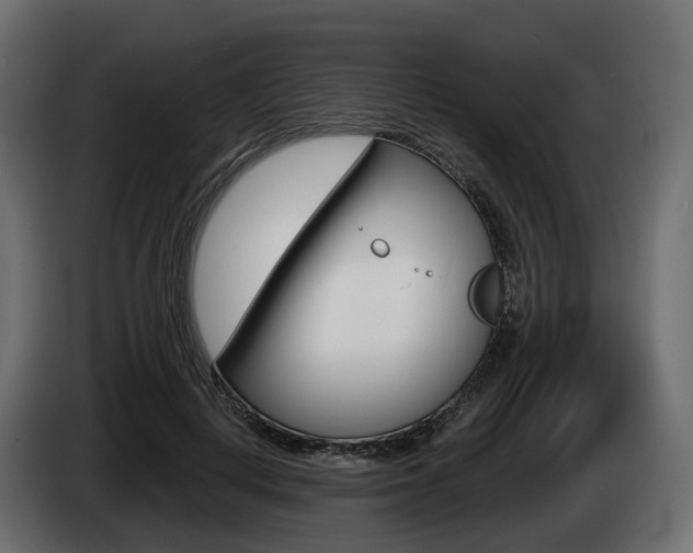 X0000085020648200703050938