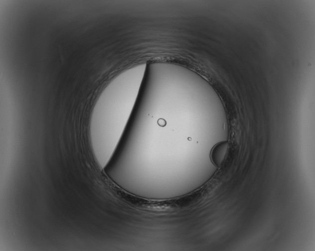 X0000085020650200703050938