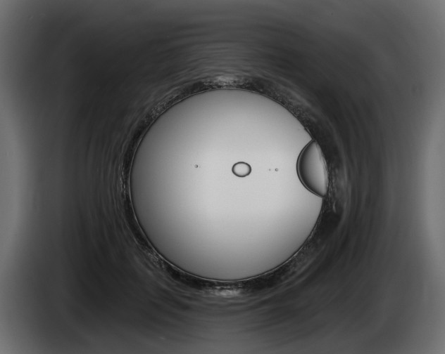 X0000085020651200703050938