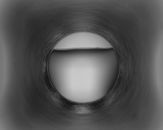 X0000085020652200703050938