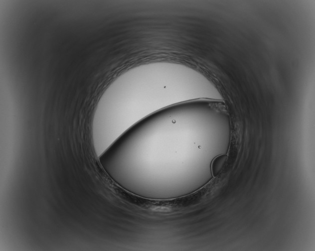 X0000085020653200703050938