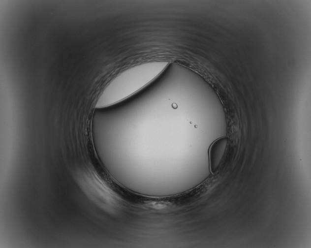 X0000085020654200703050938