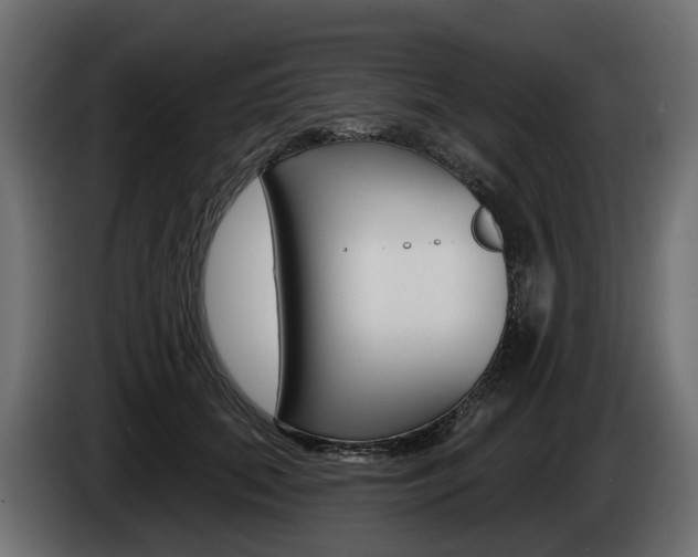 X0000085020655200703050938