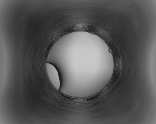 X0000085020659200703050938