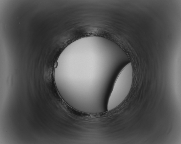 X0000085020660200703050938