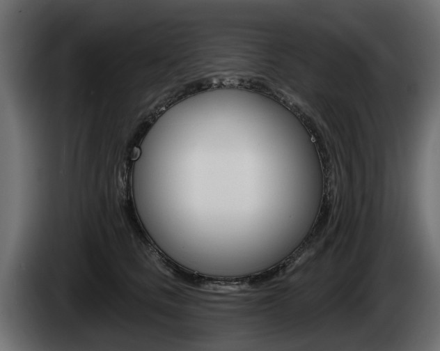 X0000085020661200703050938